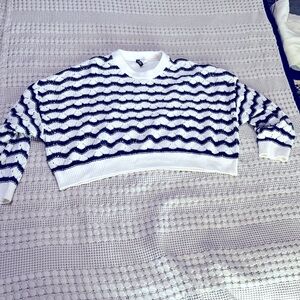 H&M Scalloped Crop Sweater